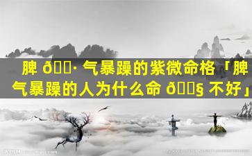 脾 🌷 气暴躁的紫微命格「脾气暴躁的人为什么命 🐧 不好」